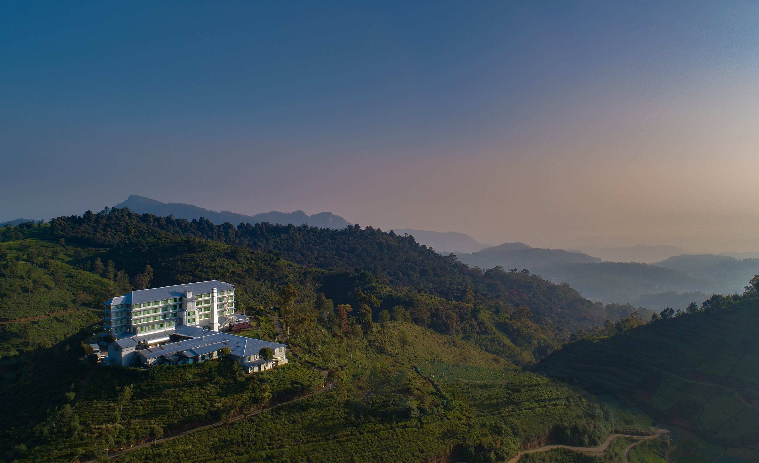 TEA FACTORY
